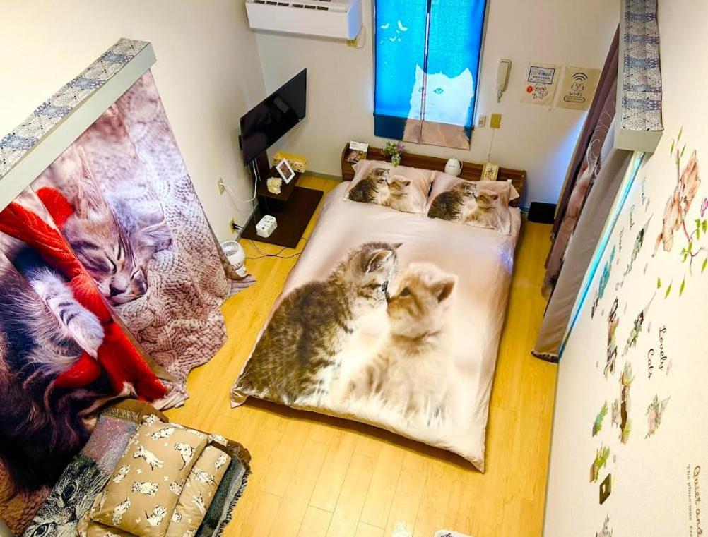 Tokyo Shibuya Shinjyuku Cat House ! Lejlighed Eksteriør billede